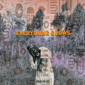 Aduza Dolozi 's debut Album Everything Grows. Afrobeats , Afrosounds